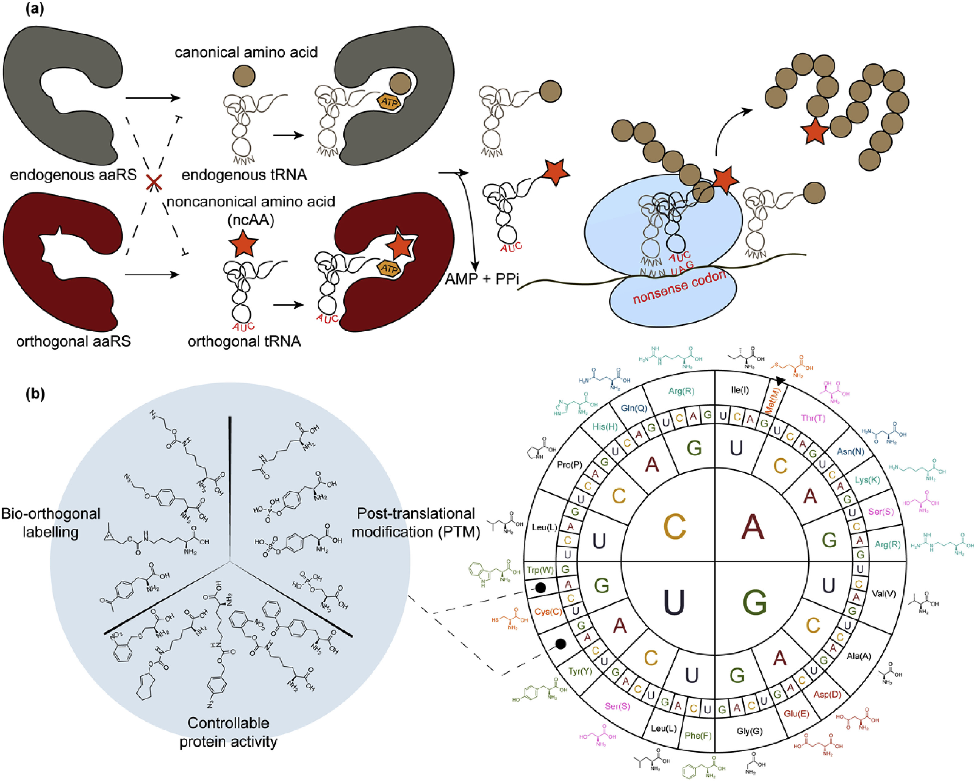 LiuLab Publications